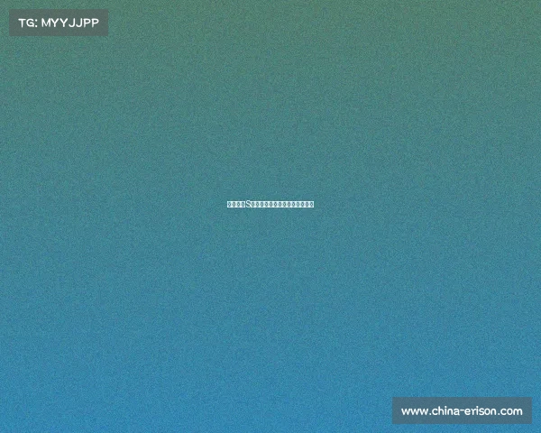 英雄联盟S赛装备选择解析与策略优化指南