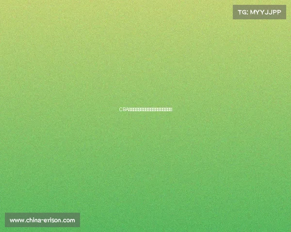 CBA赛季精彩回顾：球队表现分析与未来展望