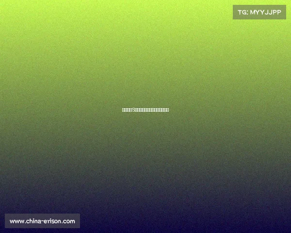 英雄联盟S赛装备选择解析与策略优化指南