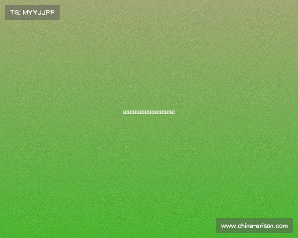 足球转会市场风险评估体系构建与应对策略分析